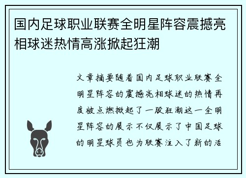 国内足球职业联赛全明星阵容震撼亮相球迷热情高涨掀起狂潮